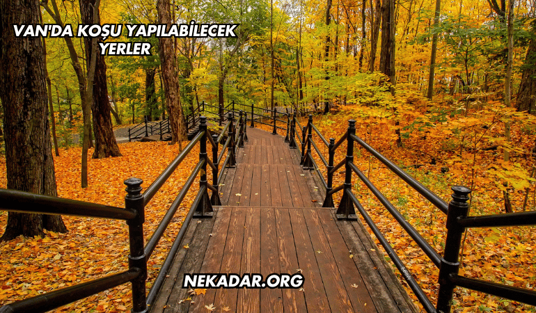 Van'da Koşu Yapılabilecek Yerler