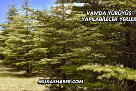 Van'da Yürüyüş Yapılabilecek Yerler