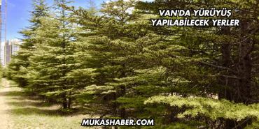 Van'da Yürüyüş Yapılabilecek Yerler