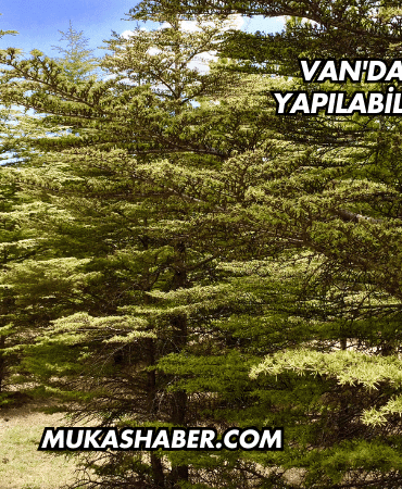 Van'da Yürüyüş Yapılabilecek Yerler