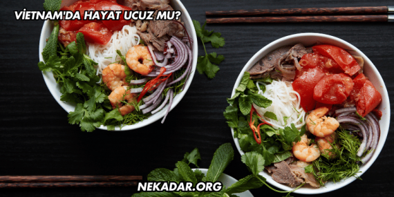 Vietnam'da Hayat Ucuz mu?