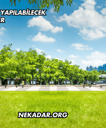 Yalova'da Koşu Yapılabilecek Yerler