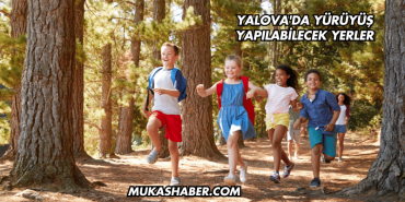 Yalova'da Yürüyüş Yapılabilecek Yerler