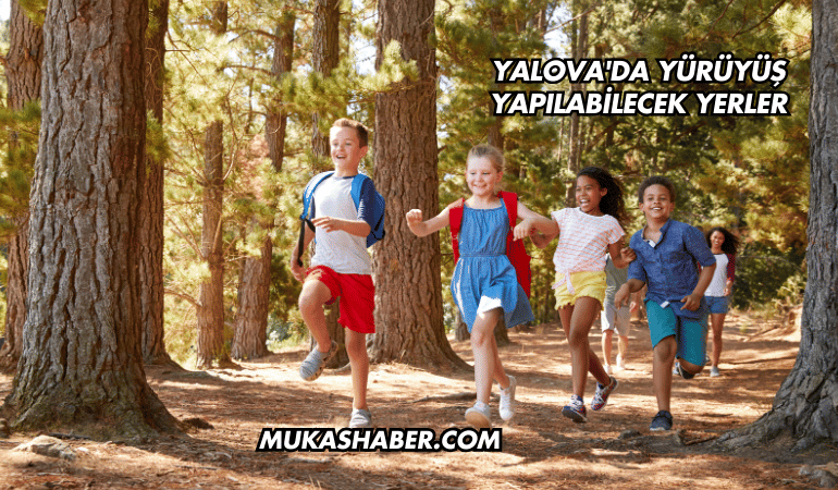 Yalova'da Yürüyüş Yapılabilecek Yerler