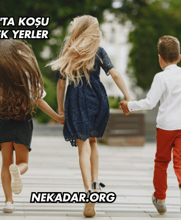 Zonguldak'ta Koşu Yapılabilecek Yerler