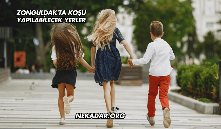 Zonguldak'ta Koşu Yapılabilecek Yerler