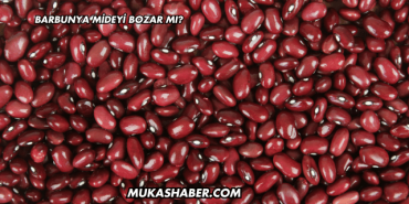 Barbunya Mideyi Bozar mı?