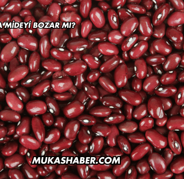 Barbunya Mideyi Bozar mı?