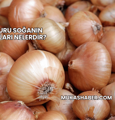 Çiğ Kuru Soğanın Faydaları Nelerdir?