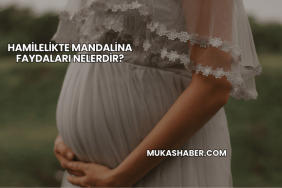 Hamilelikte Mandalina Faydaları Nelerdir?