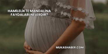 Hamilelikte Mandalina Faydaları Nelerdir?