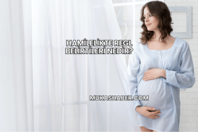 Hamilelikte Regl Belirtileri Nedir?