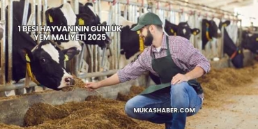 1 Besi Hayvanının Günlük Yem Maliyeti 2025