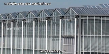 1 Dönüm Cam Sera Maliyeti 2025