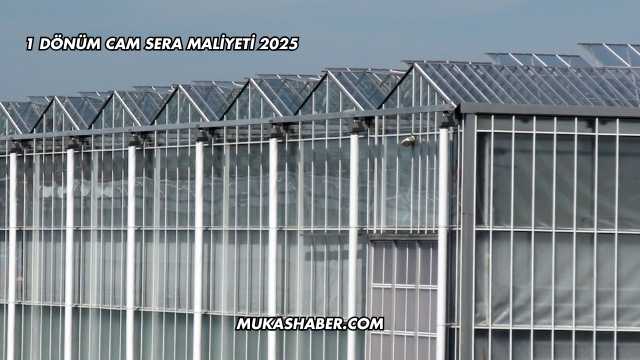 1 Dönüm Cam Sera Maliyeti 2025