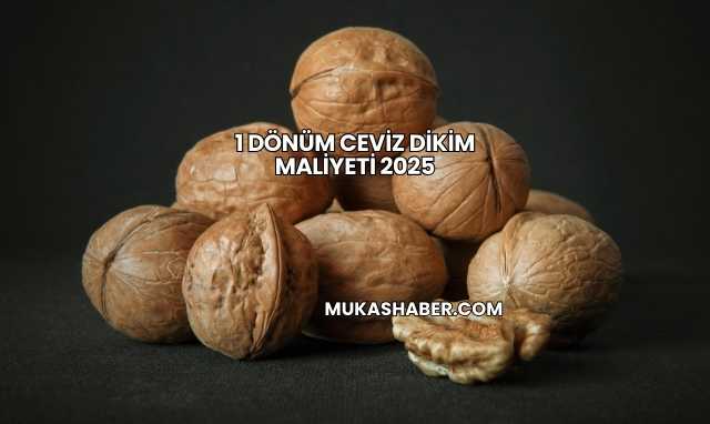 1 Dönüm Ceviz Dikim Maliyeti 2025