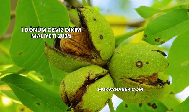 1 Dönüm Ceviz Dikim Maliyeti 2025