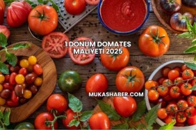 1 Dönüm Domates Maliyeti 2025