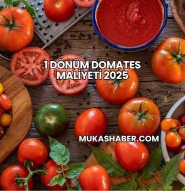 1 Dönüm Domates Maliyeti 2025