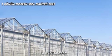 1 Dönüm Modern Sera Maliyeti 2025