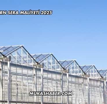 1 Dönüm Modern Sera Maliyeti 2025