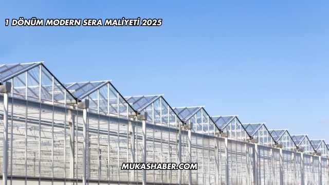 1 Dönüm Modern Sera Maliyeti 2025