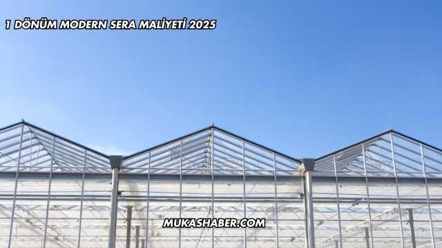1 Dönüm Modern Sera Maliyeti 2025
