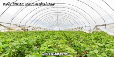 1 Dönüm Sera Isıtma Maliyeti 2025