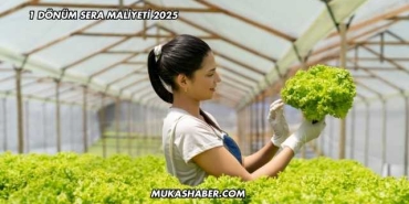 1 Dönüm Sera Maliyeti 2025