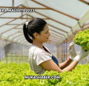 1 Dönüm Sera Maliyeti 2025