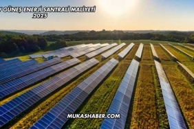 1 MW Güneş Enerji Santrali Maliyeti 2025