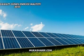 1 Megawatt Güneş Enerjisi Maliyeti 2025