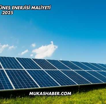 1 Megawatt Güneş Enerjisi Maliyeti 2025