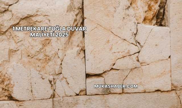 1 Metrekare Tuğla Duvar Maliyeti 2025