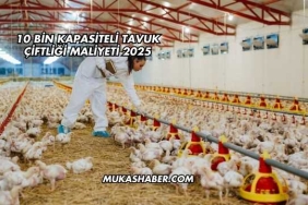 10 Bin Kapasiteli Tavuk Çiftliği Maliyeti 2025