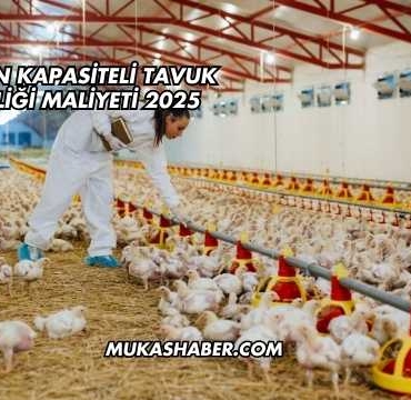 10 Bin Kapasiteli Tavuk Çiftliği Maliyeti 2025