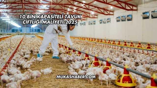 10 Bin Kapasiteli Tavuk Çiftliği Maliyeti 2025