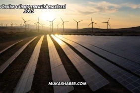 10 Dönüm Güneş Enerjisi Maliyeti 2025