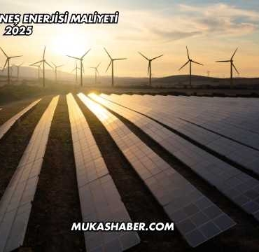 10 Dönüm Güneş Enerjisi Maliyeti 2025