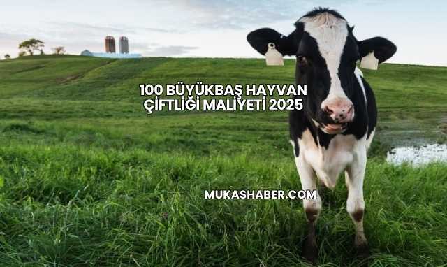 100 Büyükbaş Hayvan Çiftliği Maliyeti 2025