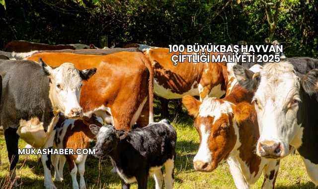 100 Büyükbaş Hayvan Çiftliği Maliyeti 2025