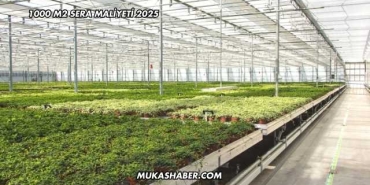 1000 M2 Sera Maliyeti 2025