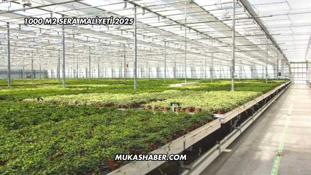 1000 M2 Sera Maliyeti 2025