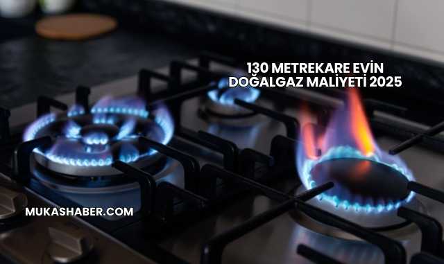 130 Metrekare Evin Doğalgaz Maliyeti 2025