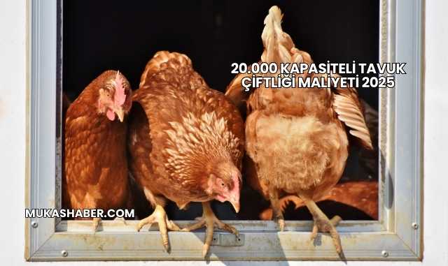 20.000 Kapasiteli Tavuk Çiftliği Maliyeti 2025