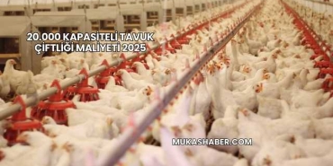 20.000 Kapasiteli Tavuk Çiftliği Maliyeti 2025