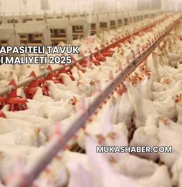 20.000 Kapasiteli Tavuk Çiftliği Maliyeti 2025