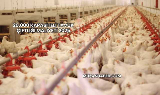 20.000 Kapasiteli Tavuk Çiftliği Maliyeti 2025