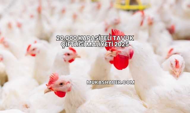 20.000 Kapasiteli Tavuk Çiftliği Maliyeti 2025