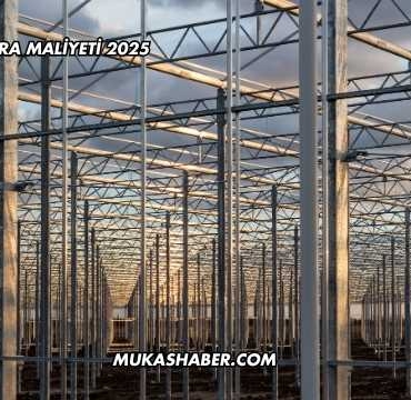 200 M2 Sera Maliyeti 2025